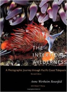 intertidal wilderness